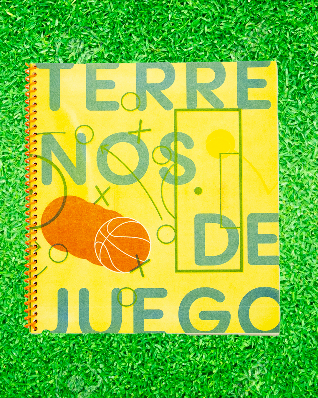 Terrenos de juego